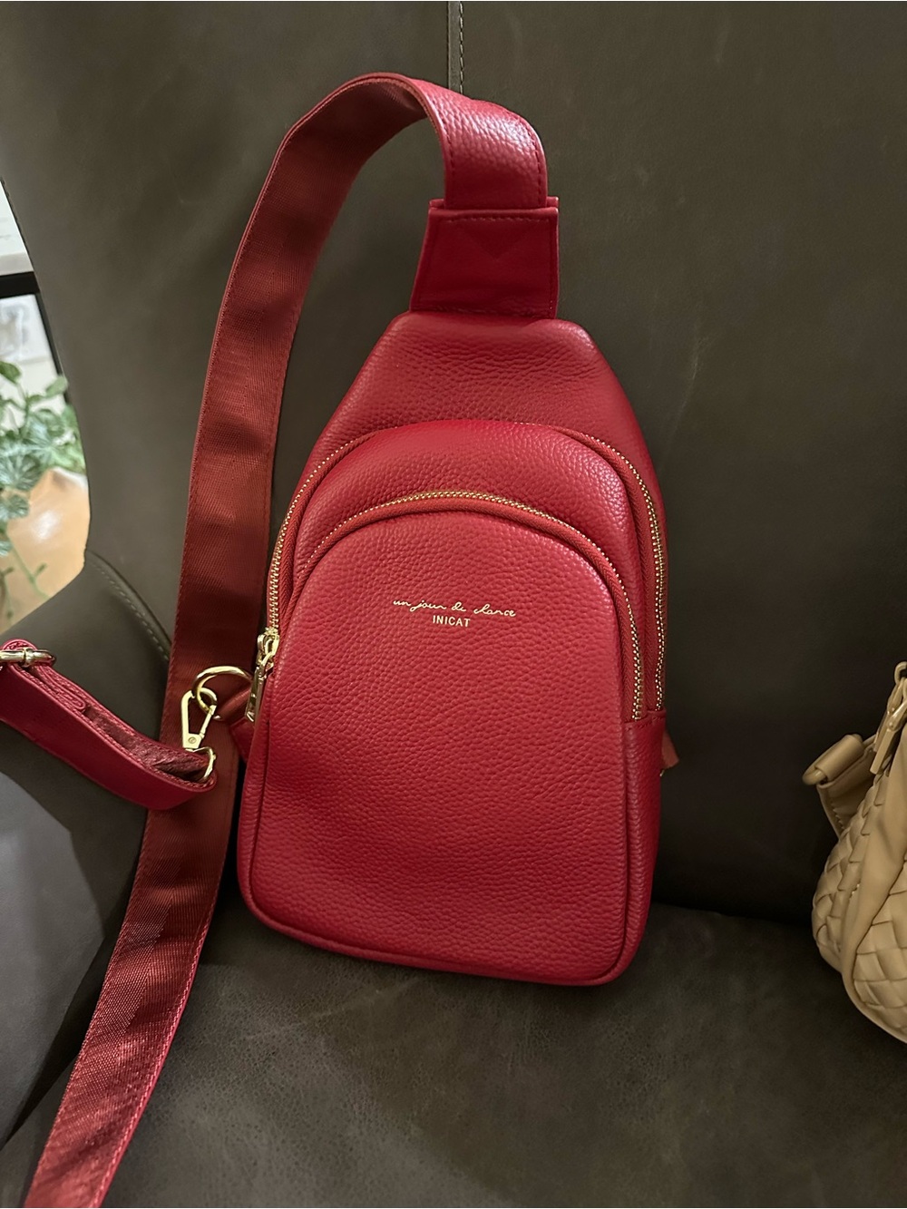 Nica Red Pebble Leather Crossbody Sling